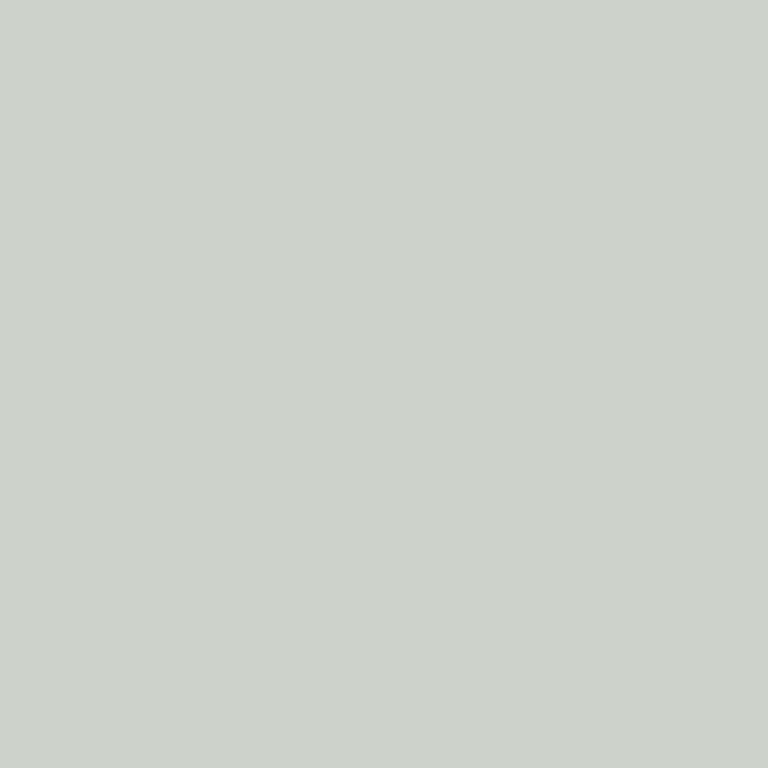 Sea Salt SW 6204