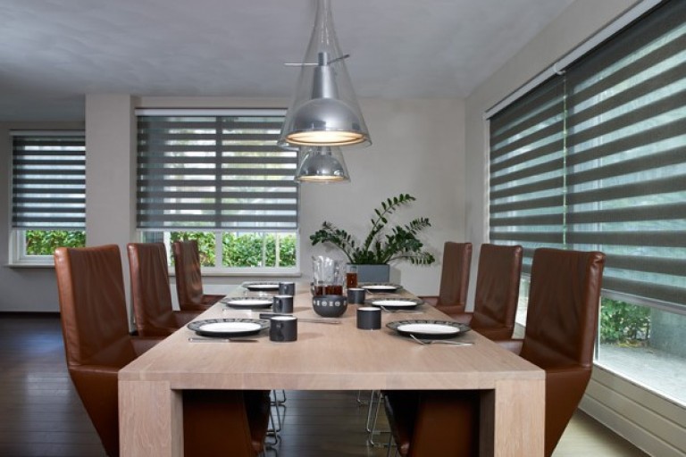 Elegance Light Filtering Capri Zebra Shades