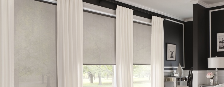 Solar / Roller Shades 